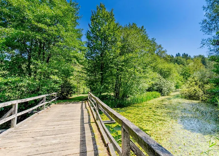 Kolpa Holidays Gradac