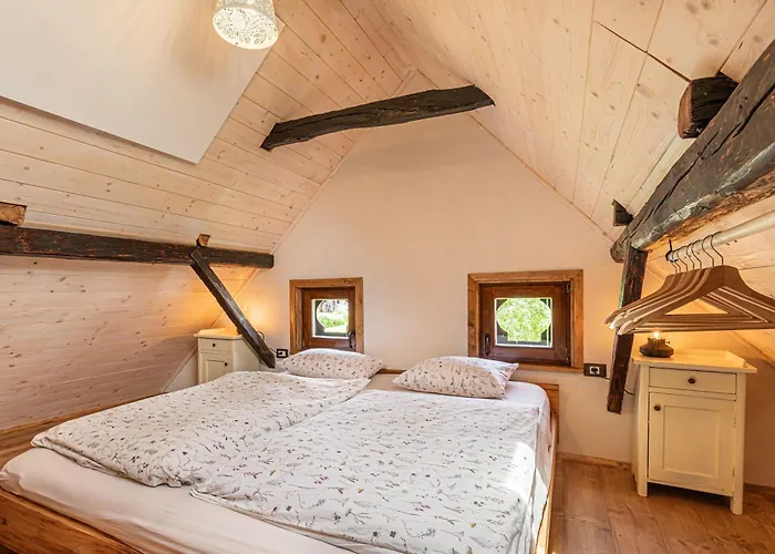 Kolpa Holidays בית נופש *