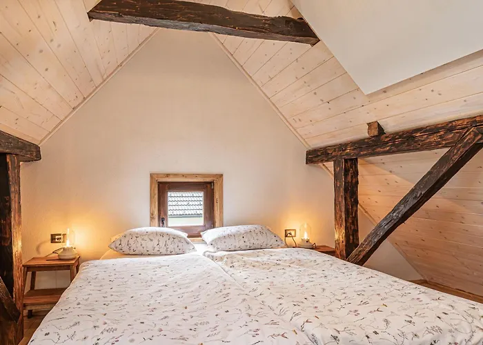 Kolpa Holidays בית נופש