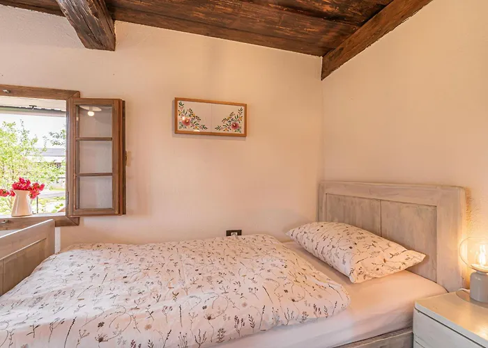 Kolpa Holidays בית נופש *