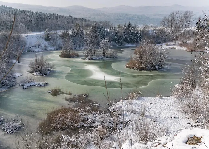 Kolpa Holidays בית נופש *